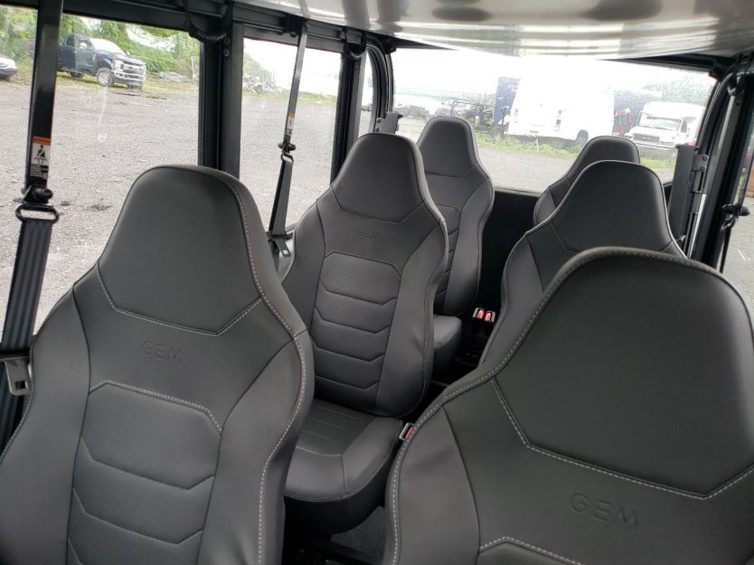 Salvage 2024 Global E6 Electric