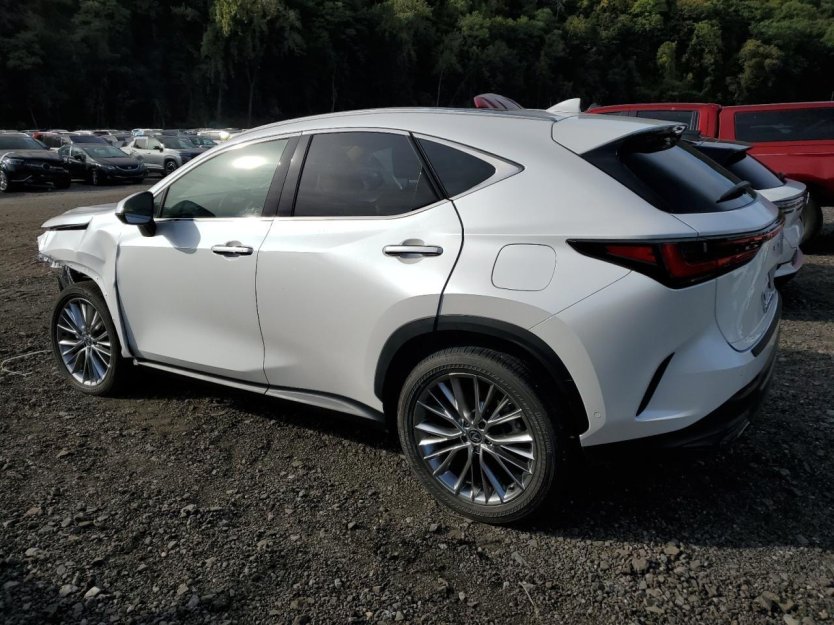 Salvage 2025 Lexus Nx 350h 