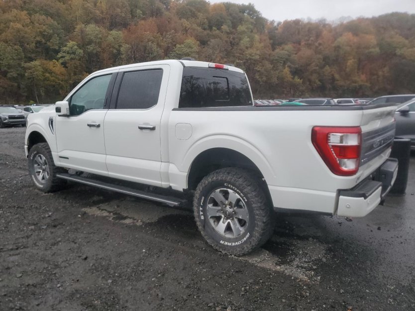 Salvage 2023 Ford F150 