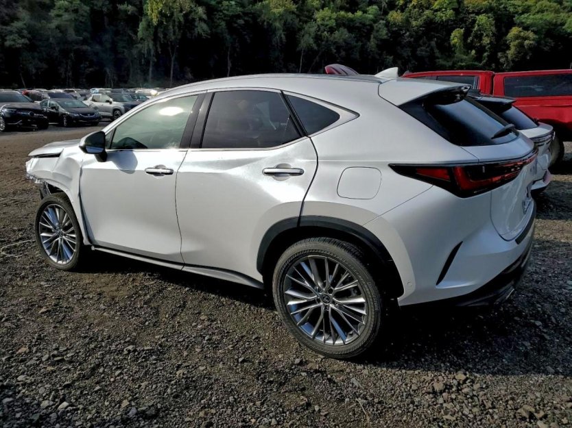 Salvage 2025 Lexus Nx 350h 