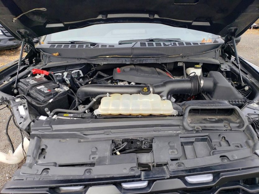 Salvage 2024 Ford F150 Raptor