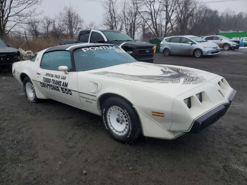 Salvage 1981 Pontiac Trans-am Daytona 500