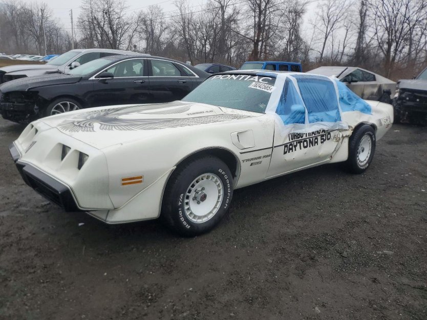 Salvage 1981 Pontiac Trans-am Daytona 500