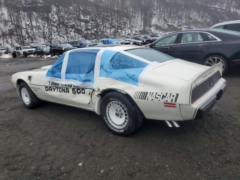 Salvage 1981 Pontiac Trans-am Daytona 500