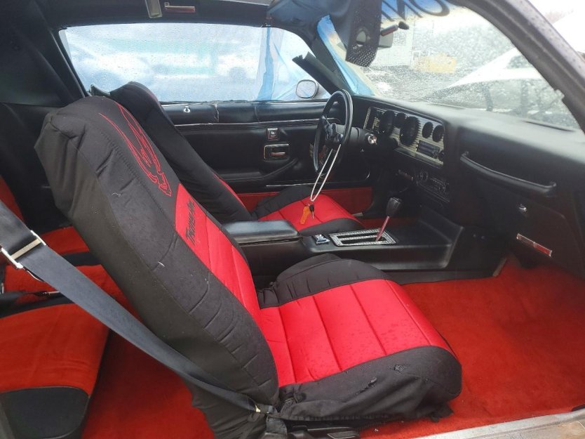 Salvage 1981 Pontiac Trans-am Daytona 500