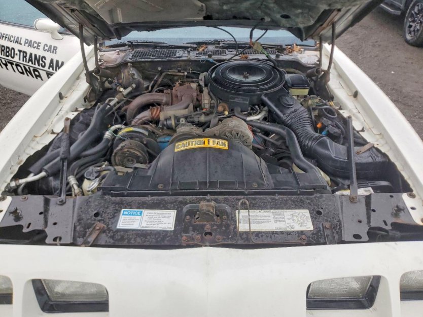 Salvage 1981 Pontiac Trans-am Daytona 500