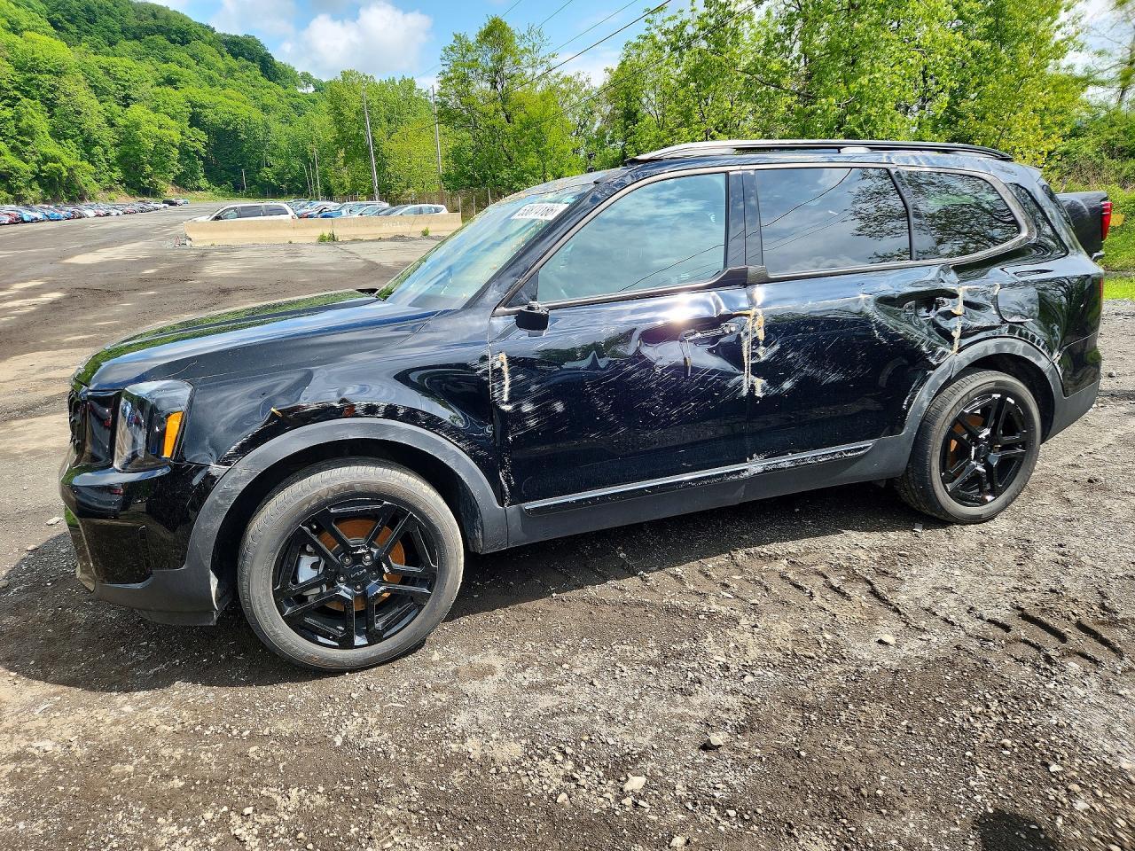 Salvage 2025 Kia Telluride Ex X-line
