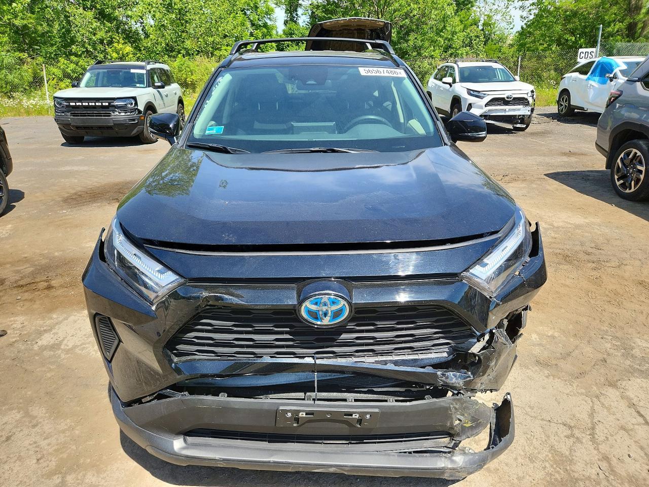 Salvage 2024 Toyota Rav4 Hybrid Xle