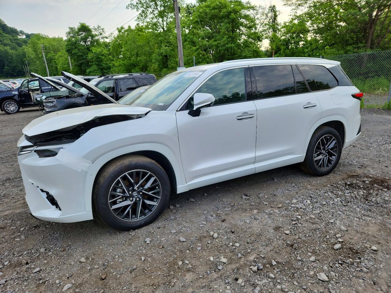 Salvage 2025 Lexus Tx 350 