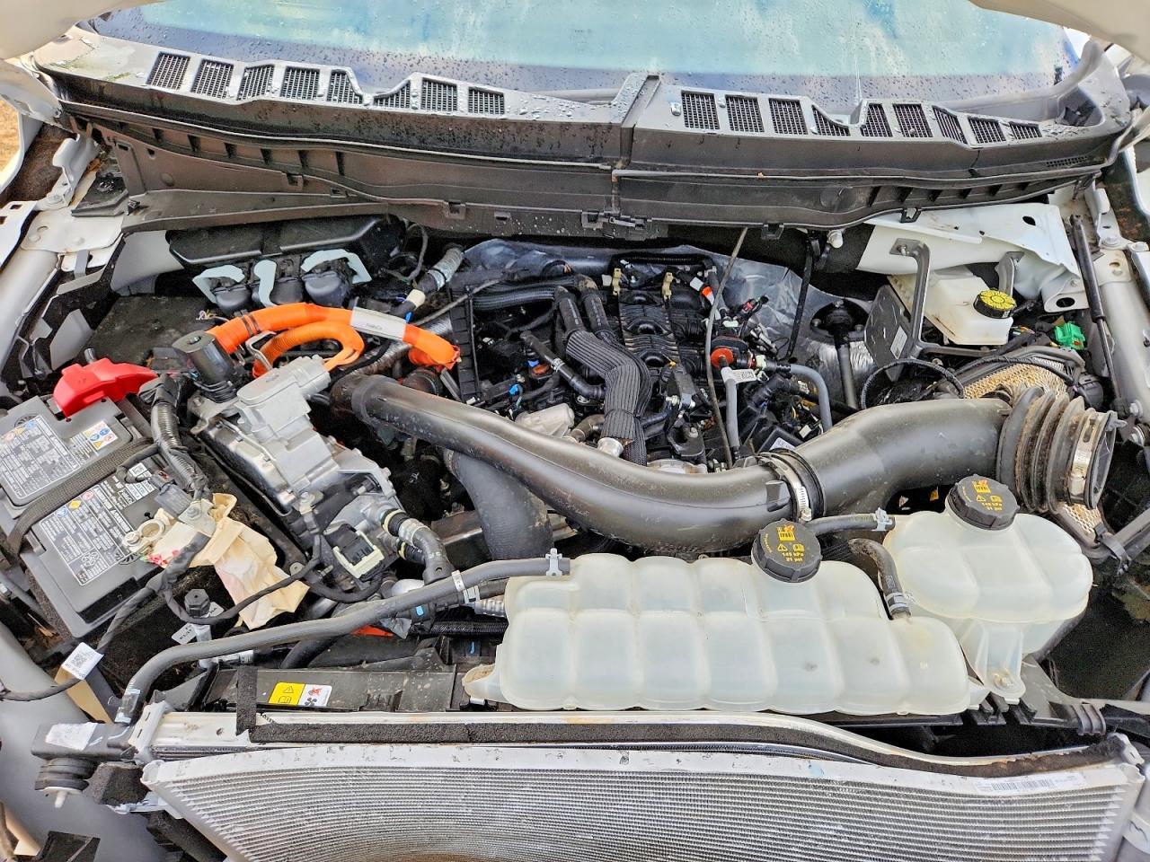 Salvage 2025 Ford F150 King Ranch