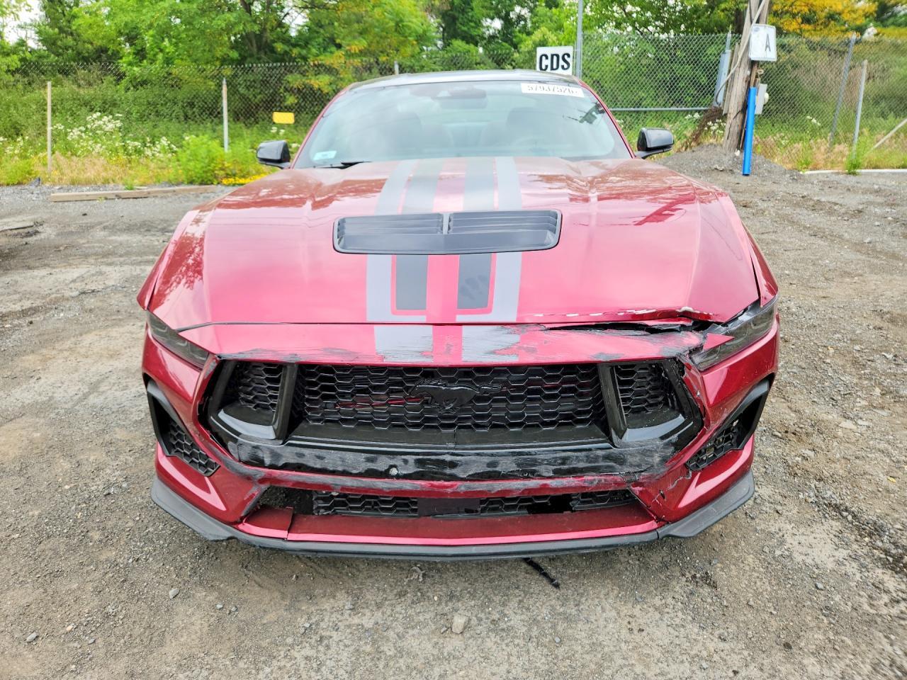 Salvage 2026 Ford Mustang 
