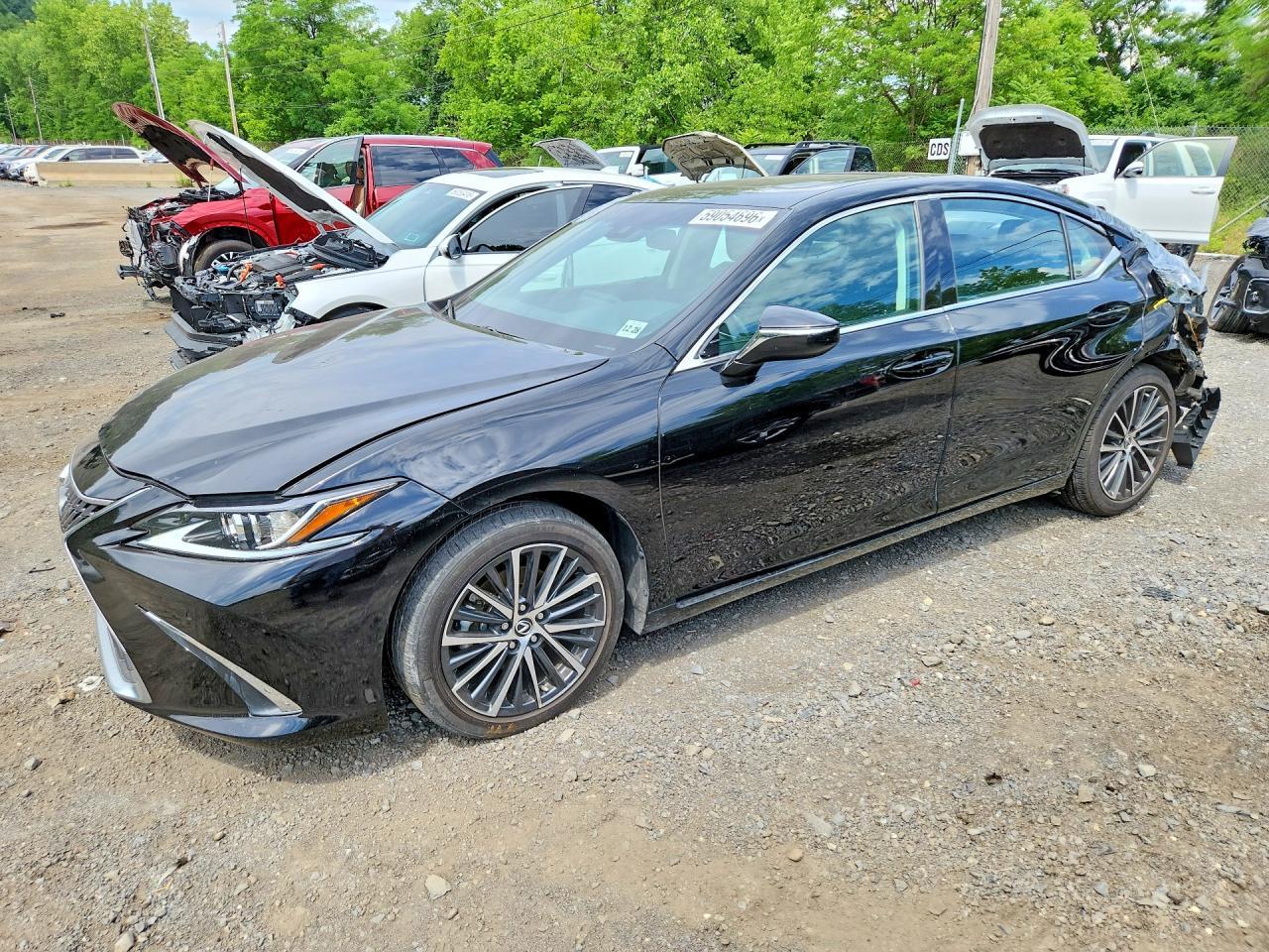 Salvage 2024 Lexus Es 350 