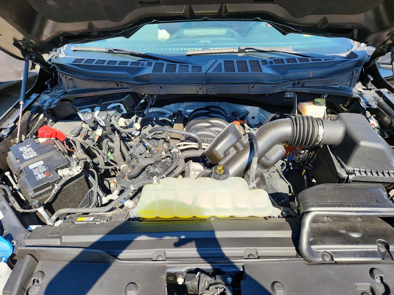 Salvage 2024 Ford F150 Dead Wood