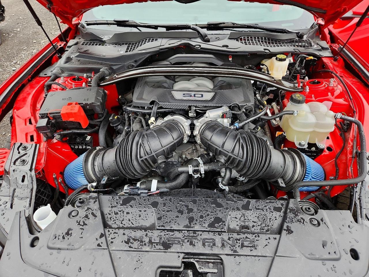 Salvage 2024 Ford Mustang Gt