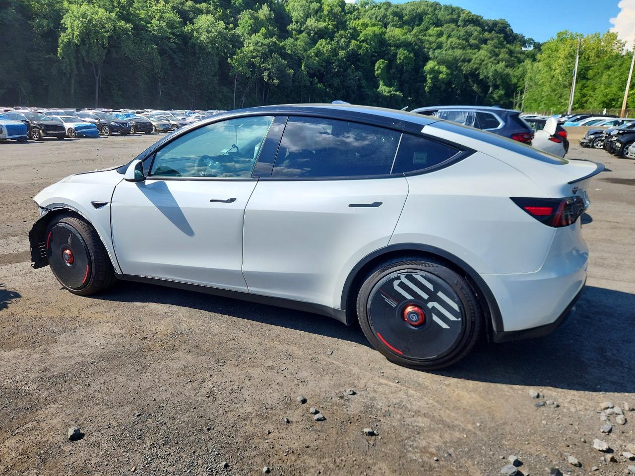 Salvage 2022 Tesla Model Y 