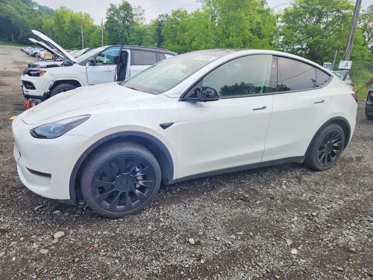 Salvage 2023 Tesla Model Y 