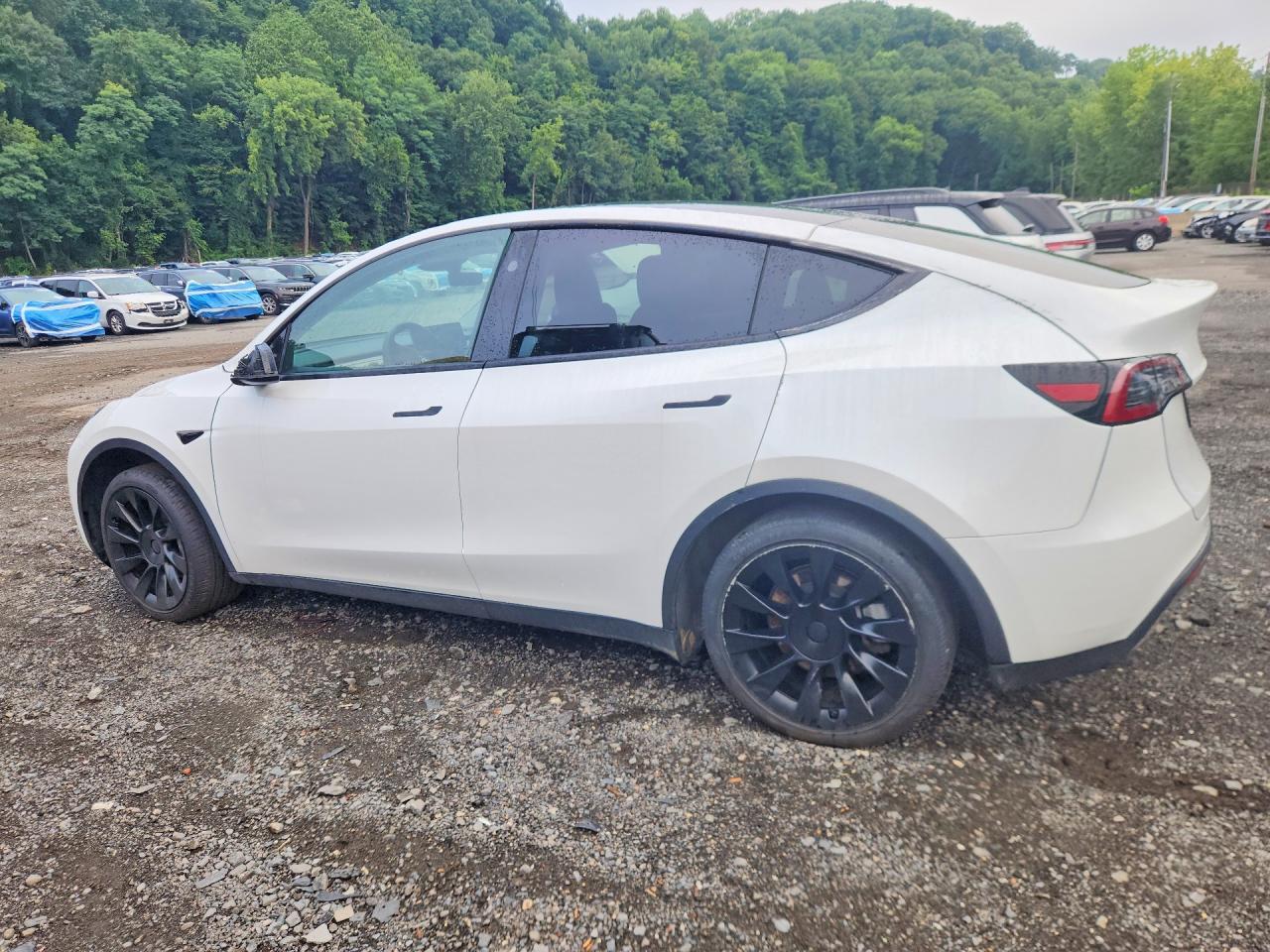 Salvage 2023 Tesla Model Y 