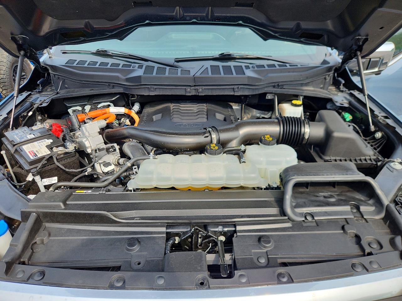 Salvage 2023 Ford F150 Platinum