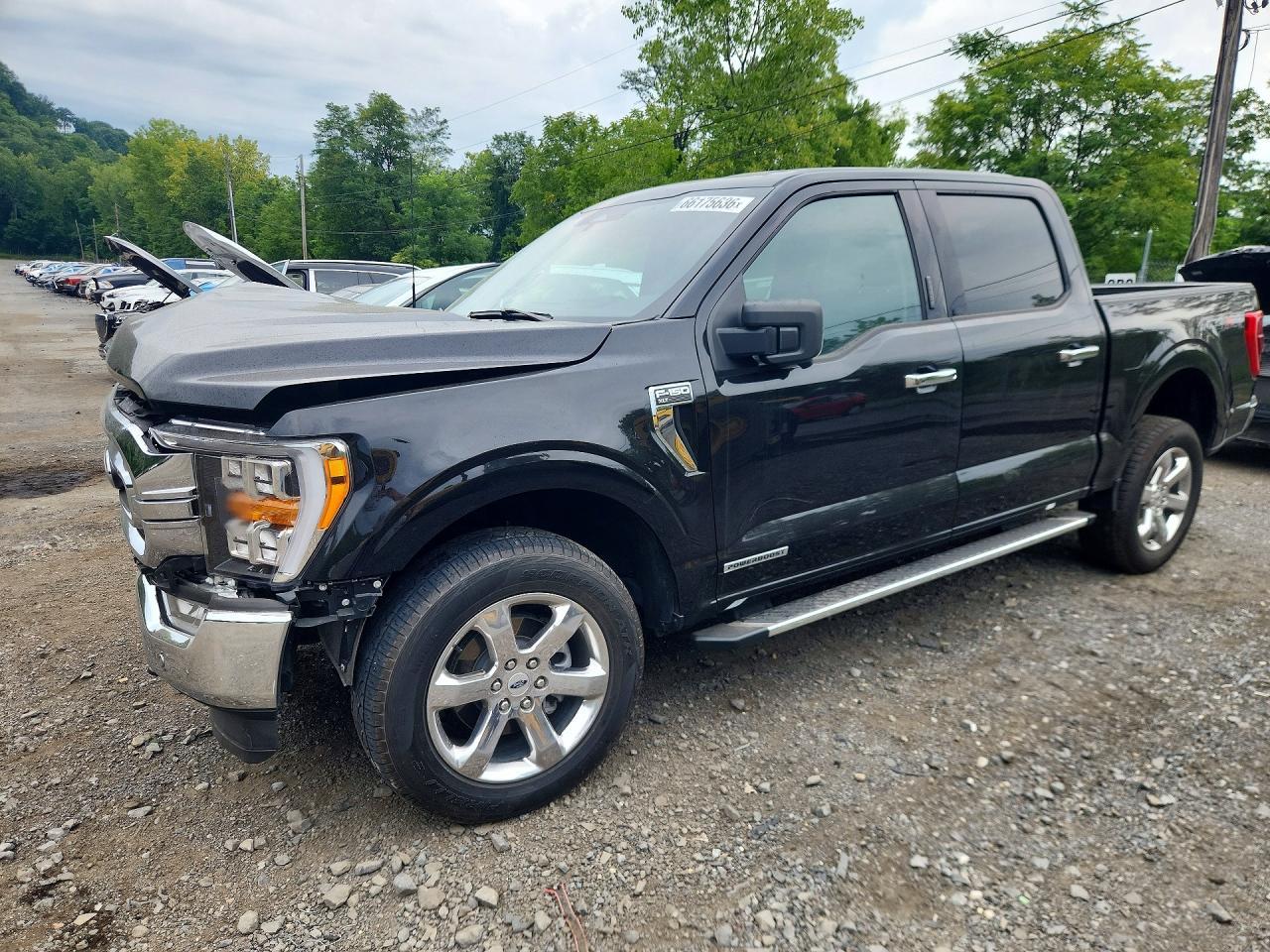 Salvage 2023 Ford F150 