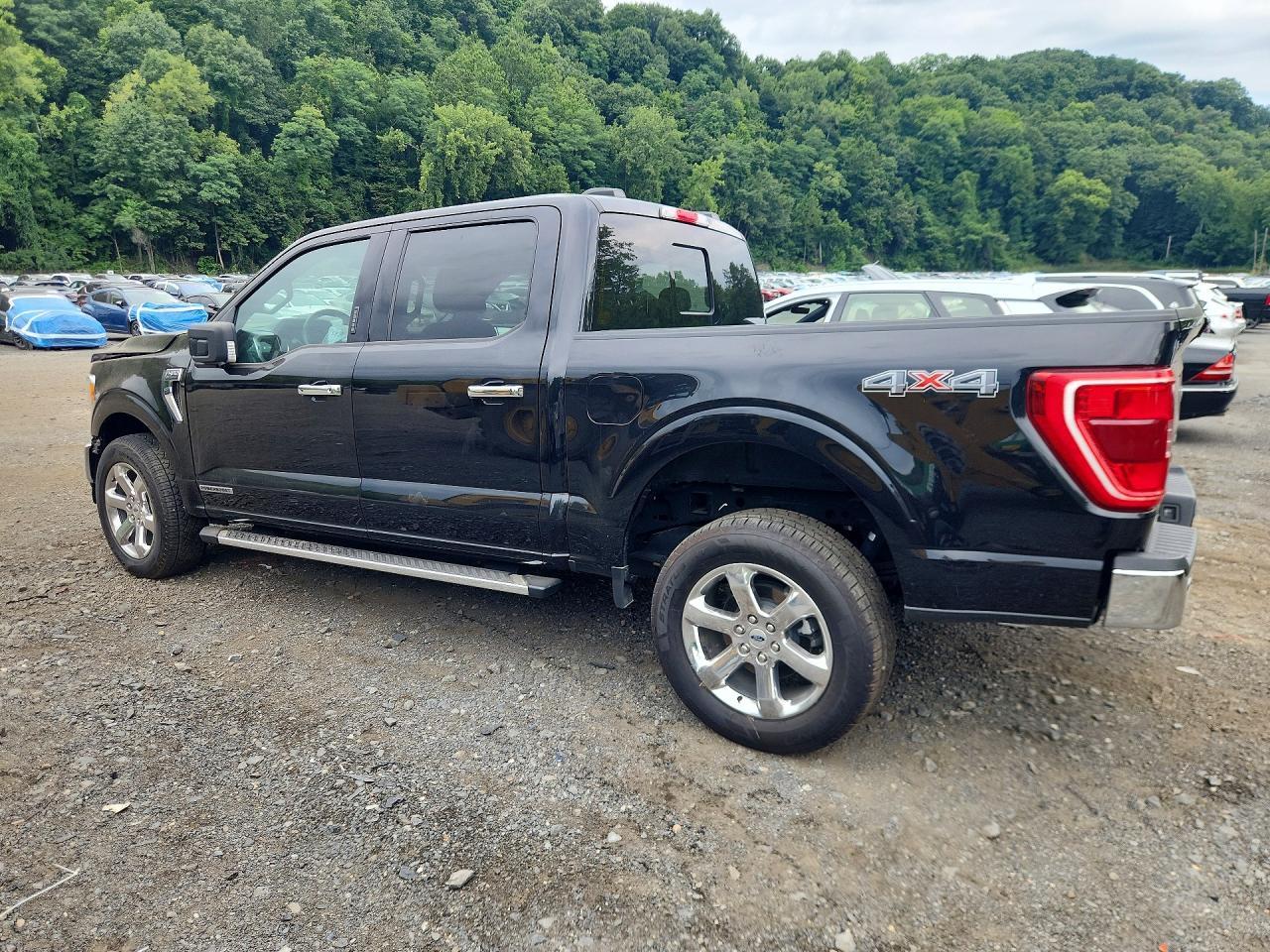 Salvage 2023 Ford F150 