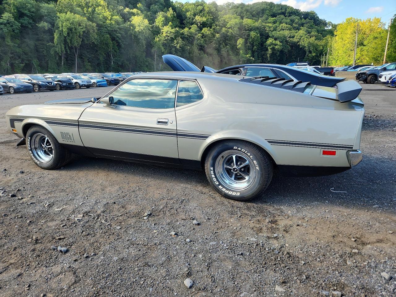 Salvage 1971 Ford Mustang M1