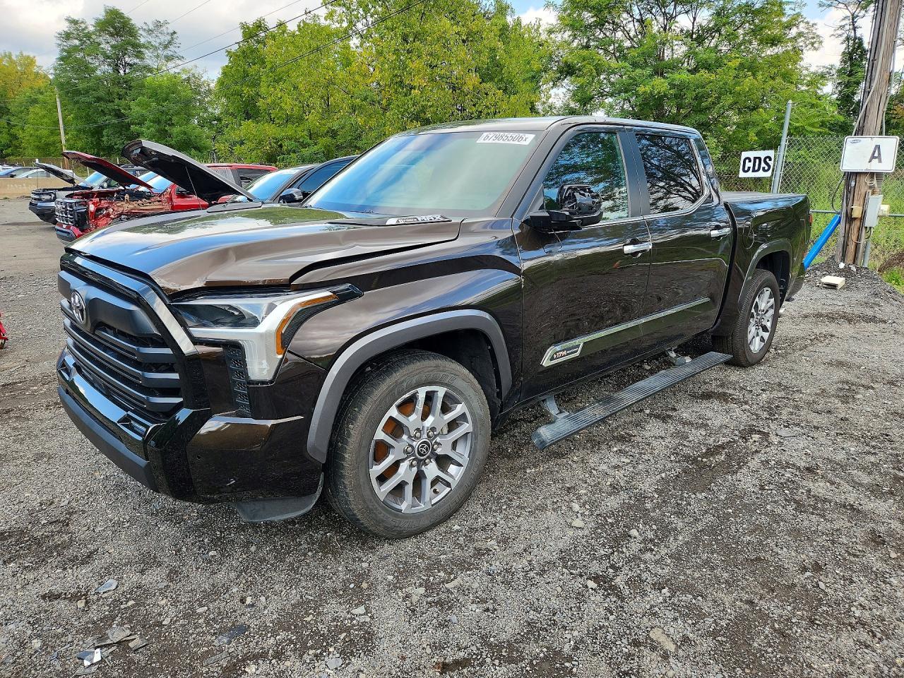 Salvage 2024 Toyota Tundra 1794 Edition Hv