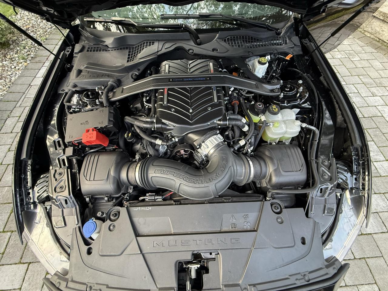 Salvage 2024 Ford Mustang Dark Horse