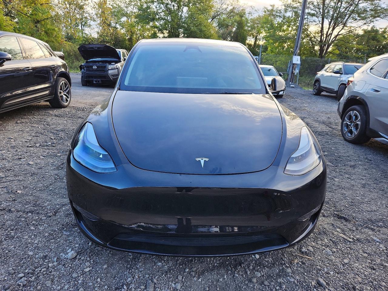 Salvage 2025 Tesla Model Y 