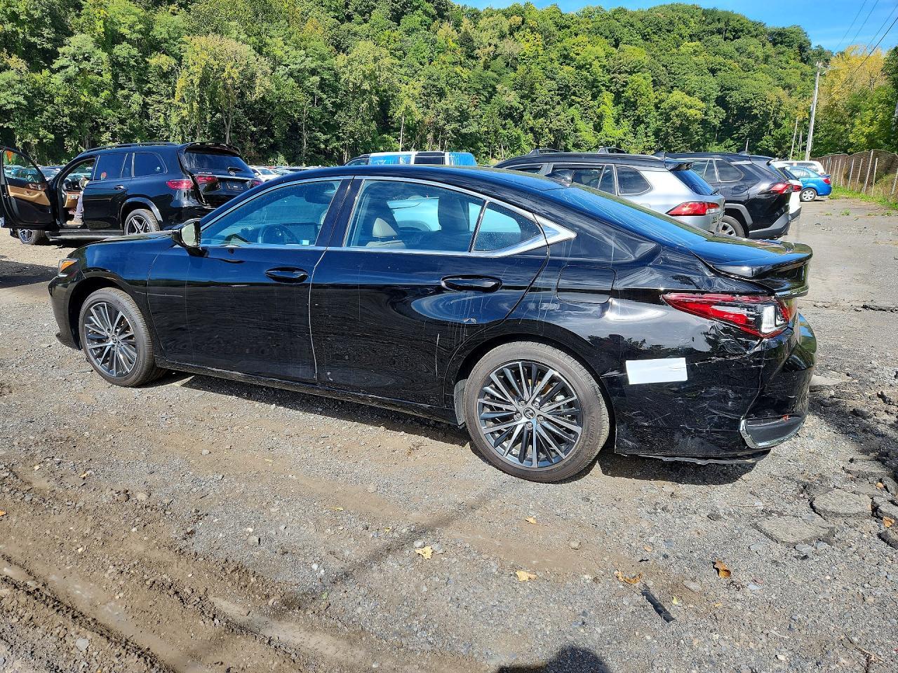 Salvage 2024 Lexus Es 250 