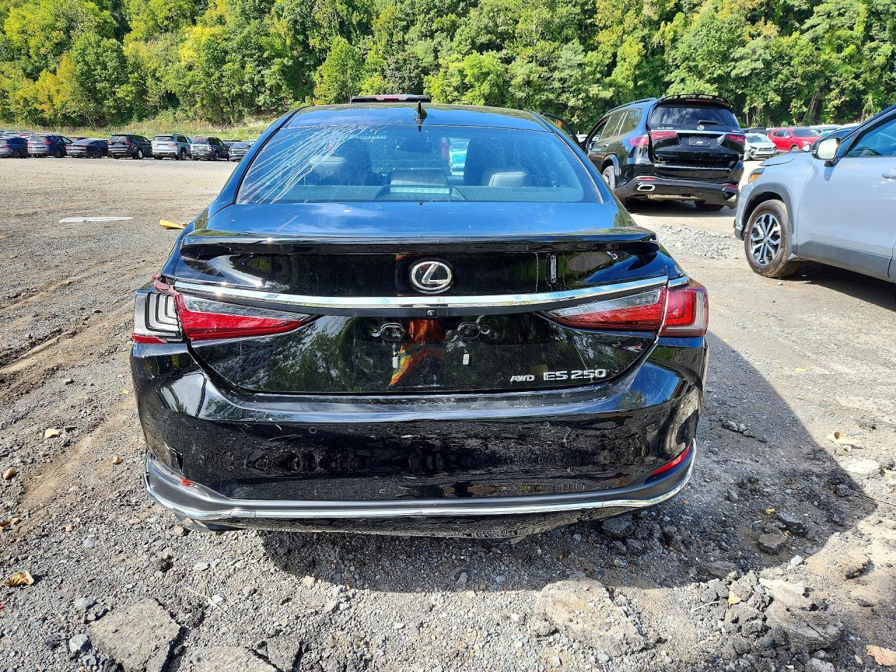 Salvage 2024 Lexus Es 250 