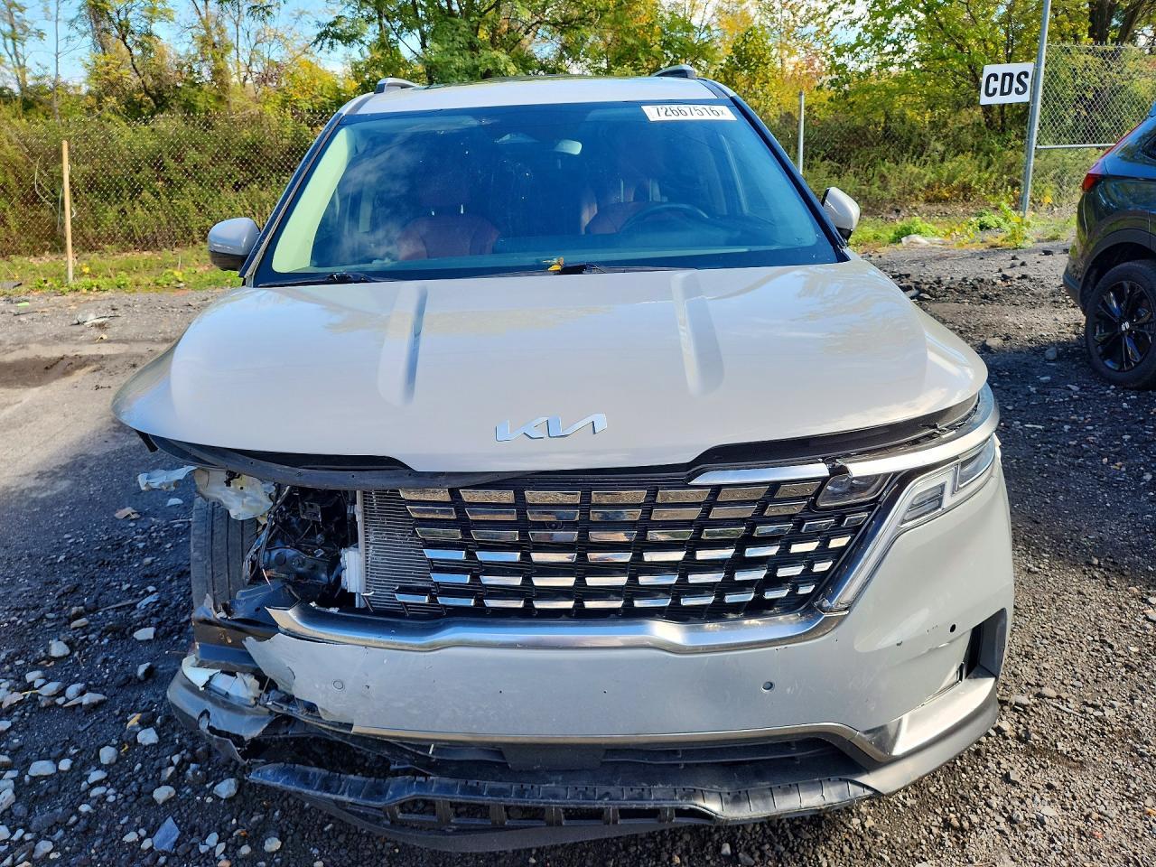 Salvage 2024 Kia Carnival Prestige