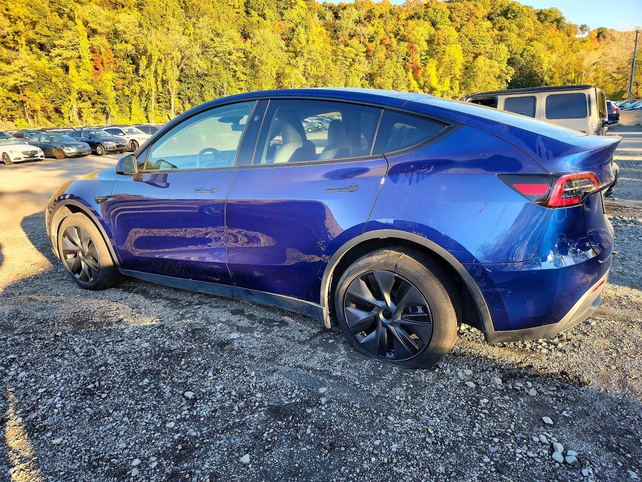 Salvage 2025 Tesla Model Y 