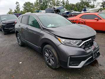 2022 Honda Cr-v EXL in Gray - Front Three-Quarter View - BidGoDrive Inventory