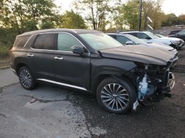 Salvage 2025 Hyundai Palisade CALLIGRAPHY