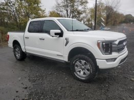 Salvage 2023 Ford F150 