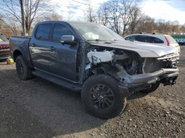 Salvage 2024 Ford Ranger RAPTOR