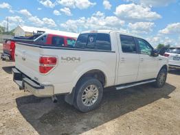 Salvage 2011 Ford F150 LARIAT 5.0