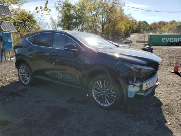 2025 lexus nx-350h  in Gray - Front Three-Quarter View - BidGoDrive Inventory