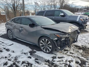 2023 nissan maxima PLATINUM in Gray - Front Three-Quarter View - BidGoDrive Inventory