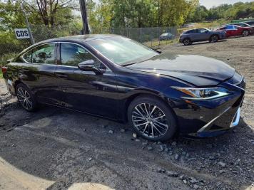2024 lexus es-250  in Black - Front Three-Quarter View - BidGoDrive Inventory