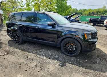 Salvage 2025 KIA Telluride EX X-LINE