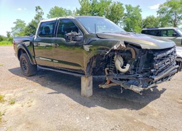 Salvage 2024 Ford F150 RAPTOR