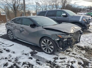 Salvage 2023 Nissan Maxima PLATINUM - Gray Sedan - Front Three-Quarter View