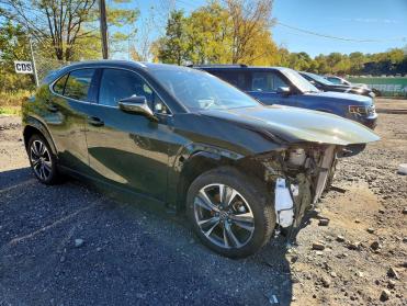 2025 Lexus UX 300H  in Green - Front Three-Quarter View - BidGoDrive Inventory