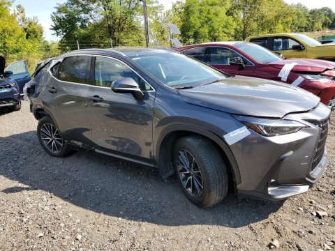 2024 Lexus NX 250  in Gray - Front Three-Quarter View - BidGoDrive Inventory