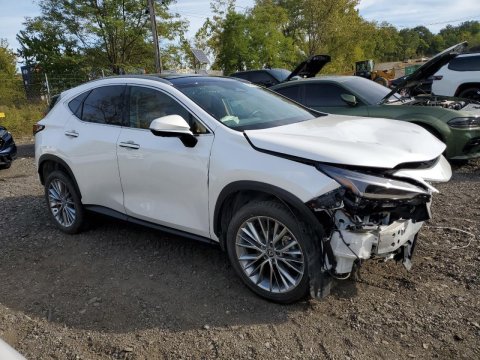 2025 Lexus NX 350H  in White - Front Three-Quarter View - BidGoDrive Inventory