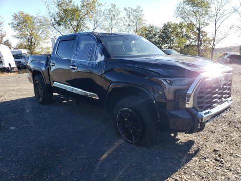 2023 Toyota Tundra  in Blue - Front Three-Quarter View - BidGoDrive Inventory