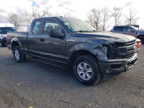 2019 Ford F150  in Gray - Front Three-Quarter View - BidGoDrive Inventory