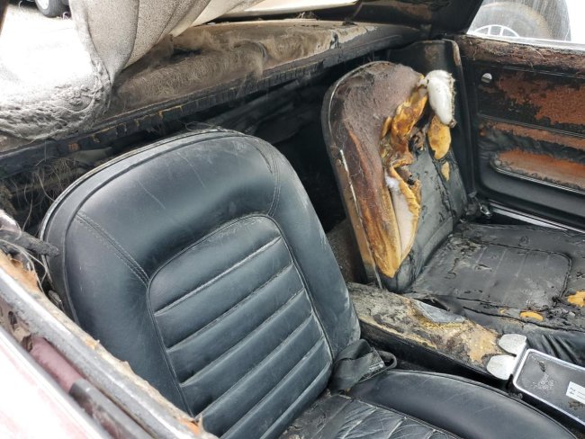 Salvage 1966 Chevrolet Corvette  in Burgundy