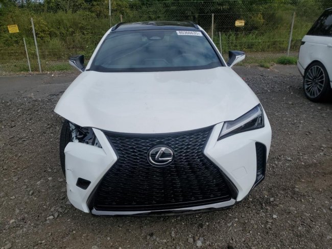 Salvage 2025 Lexus Ux 300h  in White